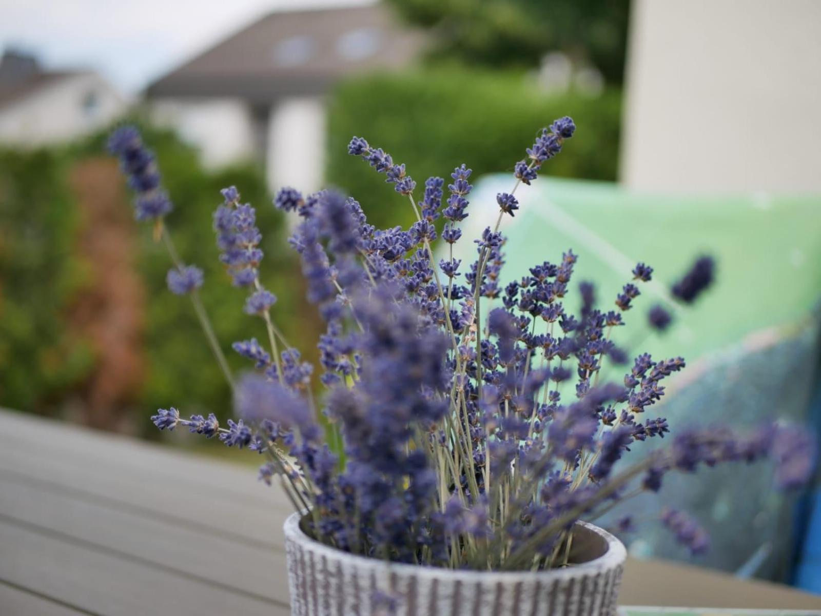 Ferienwohnung Sonnenblick Und Relax Sundern Kültér fotó